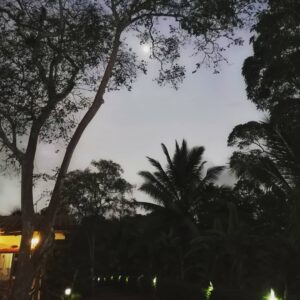 Lee más sobre el artículo Luz de la luna en Piedras Blancas